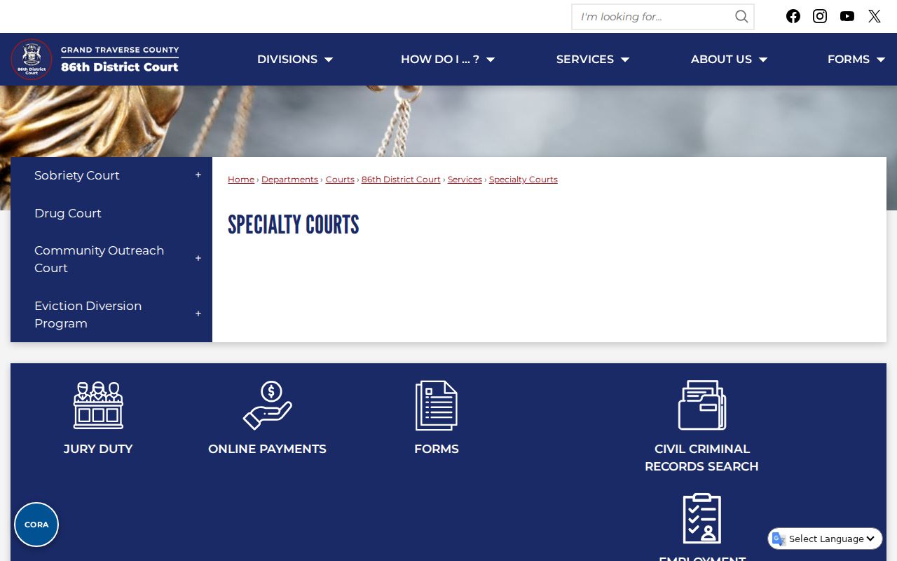 Antrim criminal docket specialty court programs source