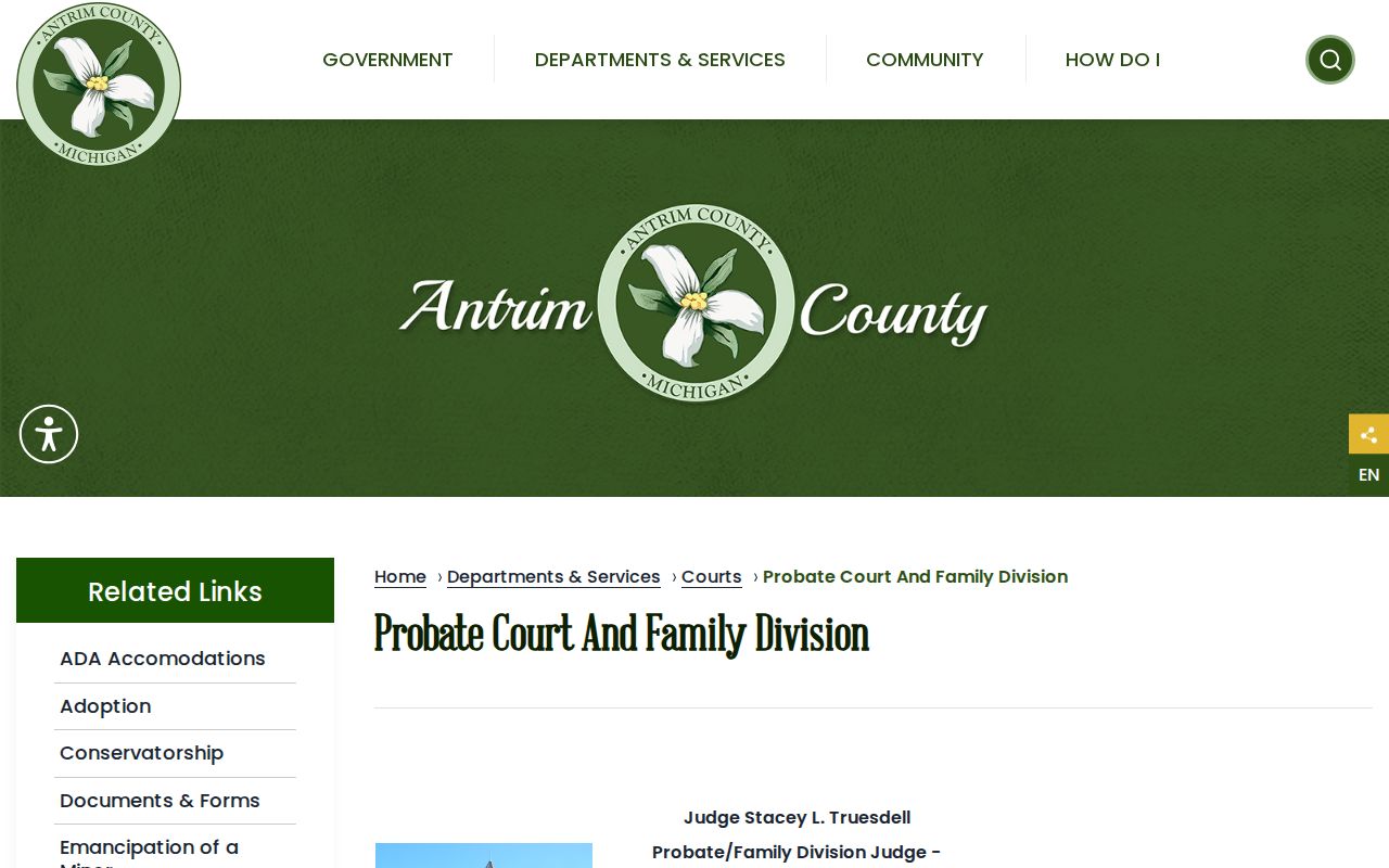 Antrim County court docket Probate and Family Division records page