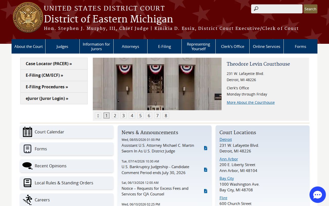 Mancelona court docket reference distinguishing the federal Eastern District of Michigan court record system
